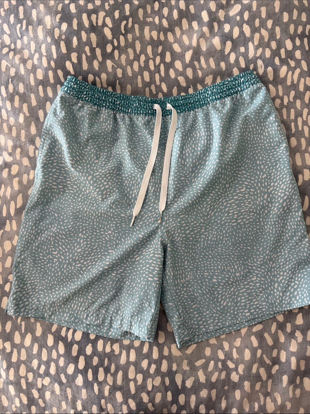 chubbies Teal Drawstring Patterned Women's Shorts